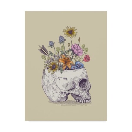 Rachel Caldwell 'Half Skull Flowers' Canvas Art,14x19